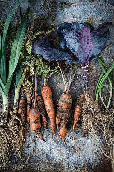 Farmstead Feast: Organic Root Vegetable Blend