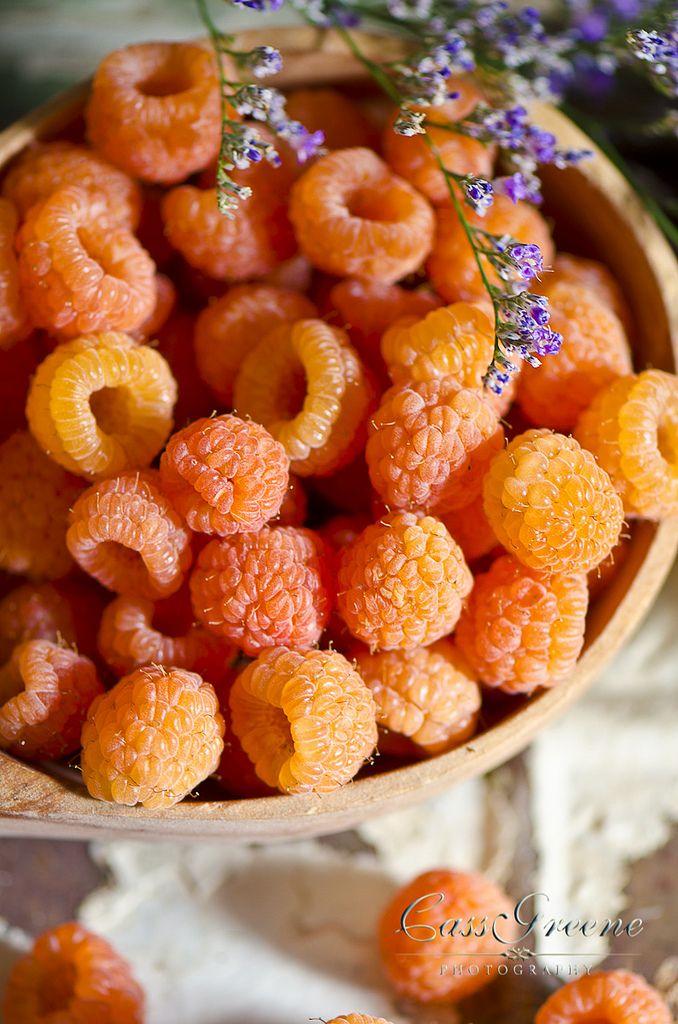 Sun-Kissed Delights: Seasonal Berry Assortment